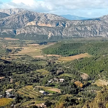 B&b Su Acu Dorgali Bagian luar foto